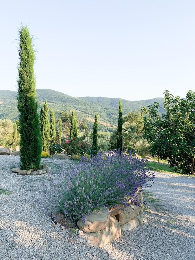 Villa Montanare Cortona Luaran gambar