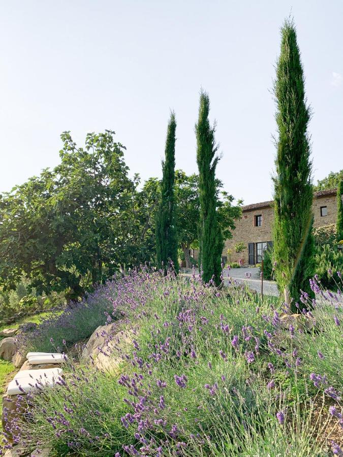 Villa Montanare Cortona Luaran gambar