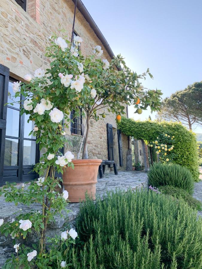 Villa Montanare Cortona Luaran gambar