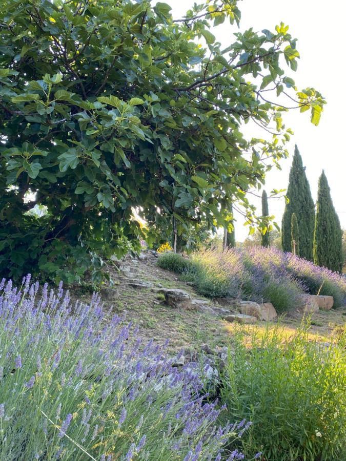 Villa Montanare Cortona Luaran gambar
