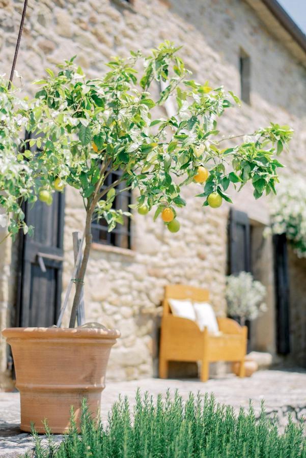 Villa Montanare Cortona Luaran gambar
